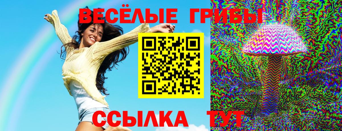 Красногорск  цены   Вход с VPN  Псилоцибиновые грибы Psilocybine cubensis 